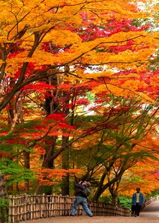 1011-25hana11-2w.jpg
