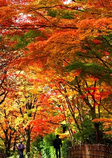 1011-25hana13w.jpg