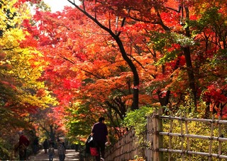 1011-25hana14-1w.jpg