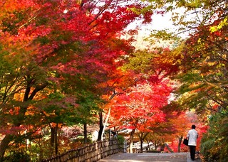 1011-25hana14w.jpg