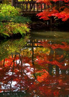 1011-25hana16w.jpg